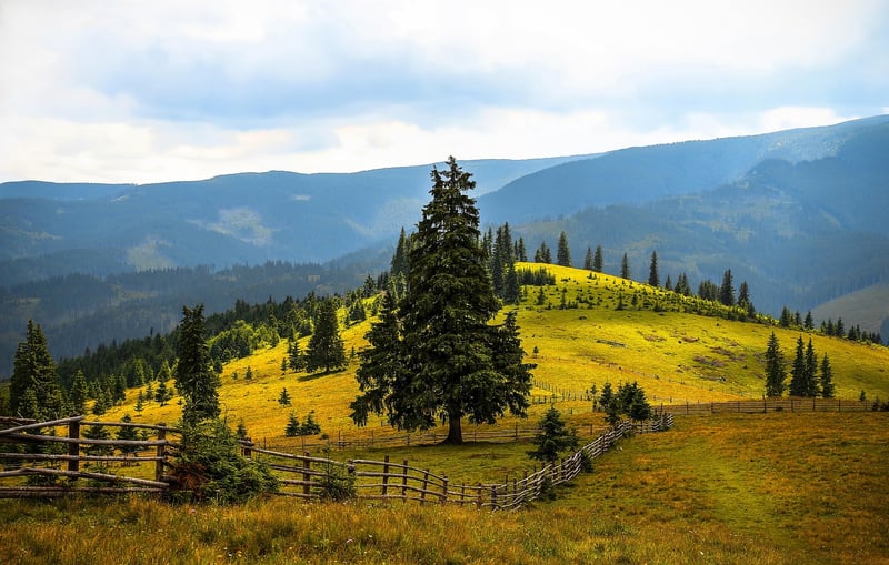 Culinary Walking Trips